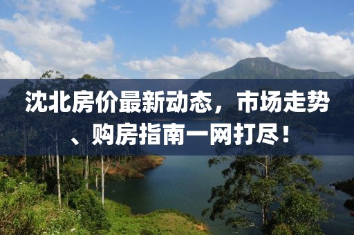 沈北房价最新动态，市场走势、购房指南一网打尽！