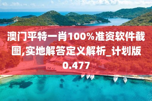 澳门平特一肖100%准资软件截图,实地解答定义解析_计划版0.477