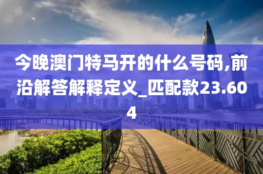 今晚澳门特马开的什么号码,前沿解答解释定义_匹配款23.604