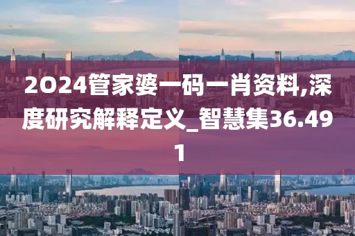 2O24管家婆一码一肖资料,深度研究解释定义_智慧集36.491