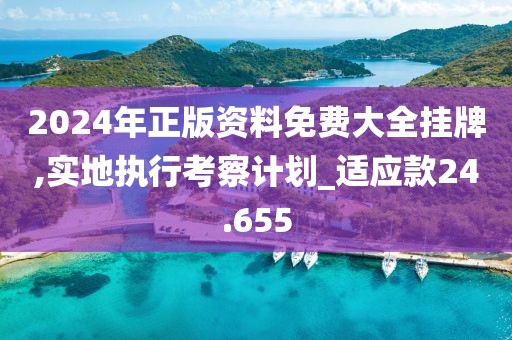 2024年正版资料免费大全挂牌,实地执行考察计划_适应款24.655
