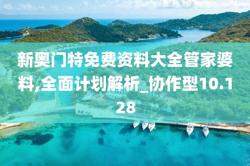 新奥门特免费资料大全管家婆料,全面计划解析_协作型10.128