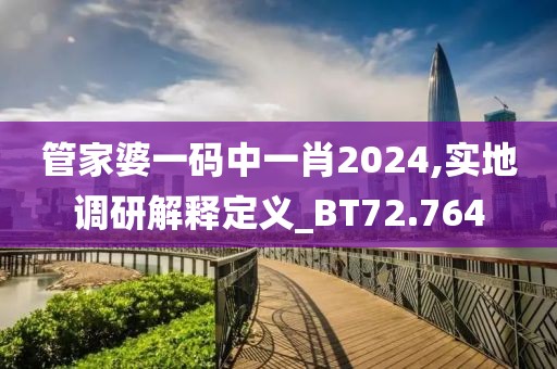 管家婆一码中一肖2024,实地调研解释定义_BT72.764