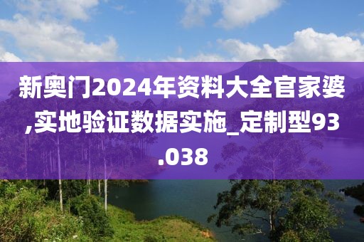 新奥门2024年资料大全官家婆,实地验证数据实施_定制型93.038
