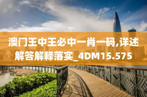 澳门王中王必中一肖一码,详述解答解释落实_4DM15.575