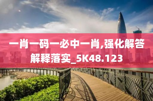 一肖一码一必中一肖,强化解答解释落实_5K48.123