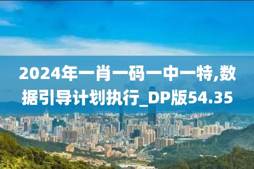 2024年一肖一码一中一特,数据引导计划执行_DP版54.35