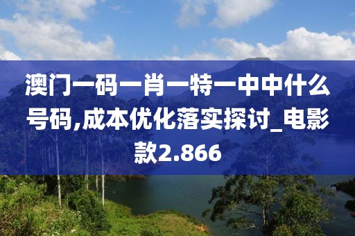 澳门一码一肖一特一中中什么号码,成本优化落实探讨_电影款2.866