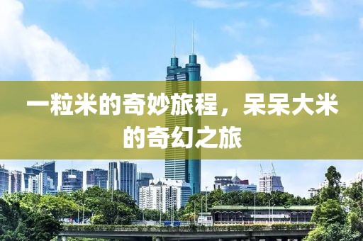 一粒米的奇妙旅程，呆呆大米的奇幻之旅