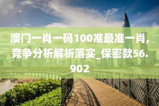 澳门一肖一码100准最准一肖,竞争分析解析落实_保密款56.902