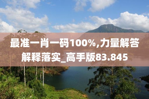 最准一肖一码100%,力量解答解释落实_高手版83.845