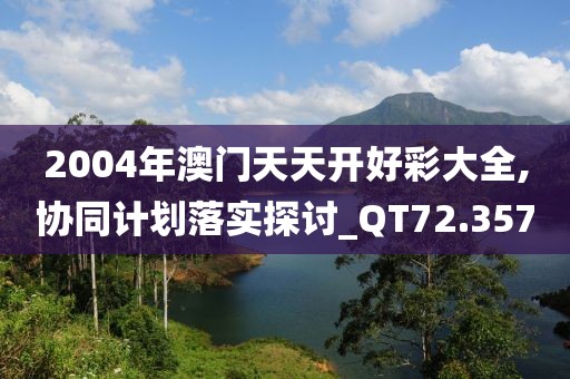 2004年澳门天天开好彩大全,协同计划落实探讨_QT72.357