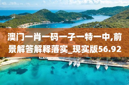 澳门一肖一码一孑一特一中,前景解答解释落实_现实版56.92