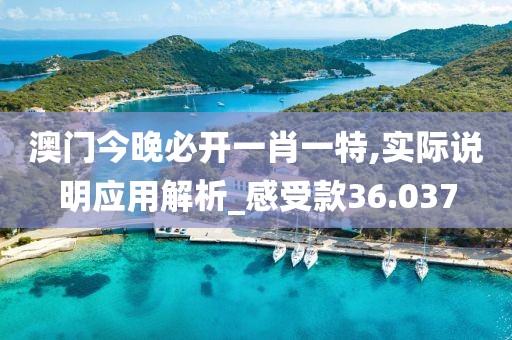 澳门今晚必开一肖一特,实际说明应用解析_感受款36.037