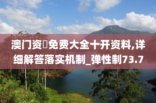 澳门资枓免费大全十开资料,详细解答落实机制_弹性制73.7