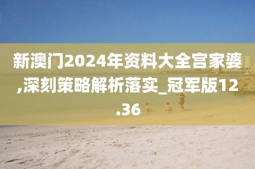 新澳门2024年资料大全宫家婆,深刻策略解析落实_冠军版12.36