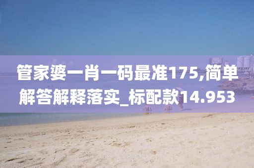 管家婆一肖一码最准175,简单解答解释落实_标配款14.953