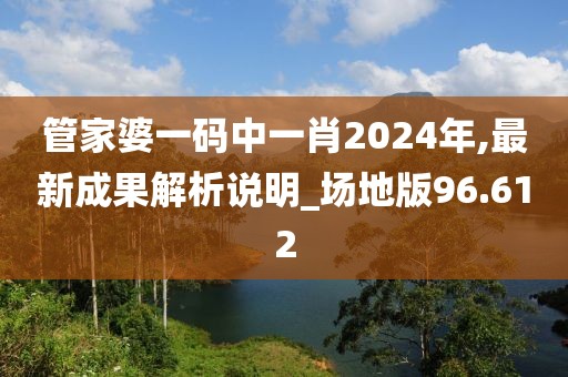 管家婆一码中一肖2024年,最新成果解析说明_场地版96.612