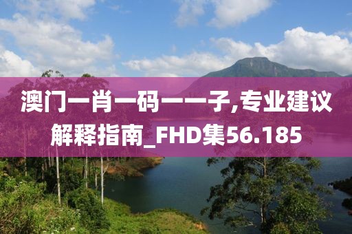 澳门一肖一码一一子,专业建议解释指南_FHD集56.185