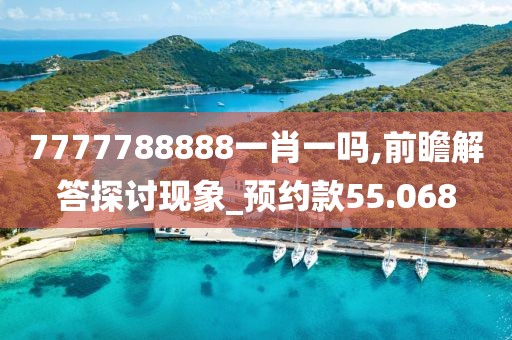 7777788888一肖一吗,前瞻解答探讨现象_预约款55.068