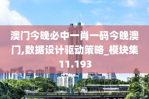澳门今晚必中一肖一码今晚澳门,数据设计驱动策略_模块集11.193