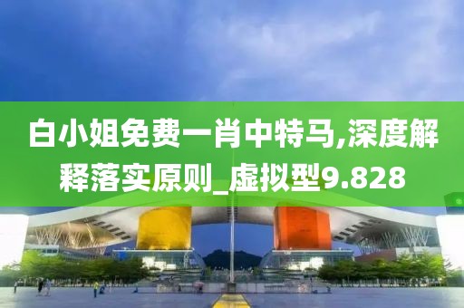 白小姐免费一肖中特马,深度解释落实原则_虚拟型9.828