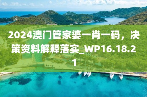 2024澳门管家婆一肖一码，决策资料解释落实_WP16.18.21
