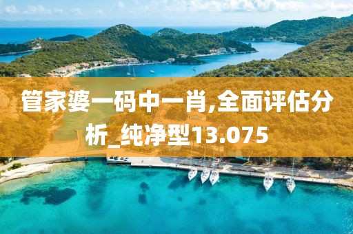 管家婆一码中一肖,全面评估分析_纯净型13.075
