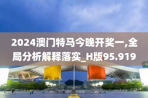 2024澳门特马今晚开奖一,全局分析解释落实_H版95.919