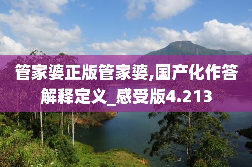 管家婆正版管家婆,国产化作答解释定义_感受版4.213