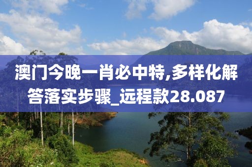 澳门今晚一肖必中特,多样化解答落实步骤_远程款28.087