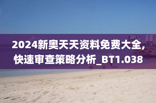 2024新奥天天资料免费大全,快速审查策略分析_BT1.038