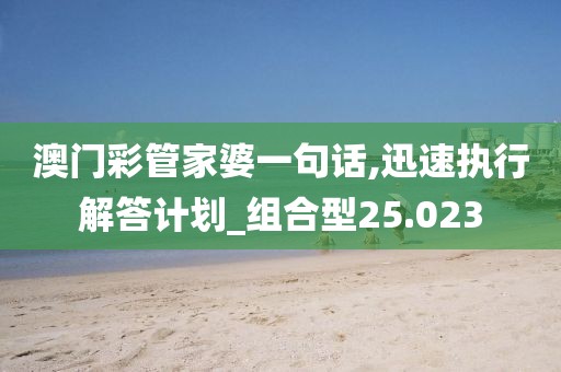 澳门彩管家婆一句话,迅速执行解答计划_组合型25.023