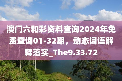 澳门六和彩资料查询2024年免费查询01-32期，动态词语解释落实_The9.33.72
