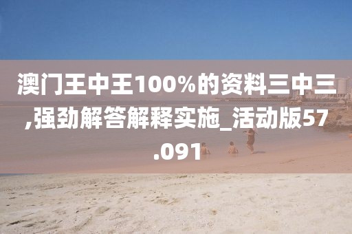 澳门王中王100%的资料三中三,强劲解答解释实施_活动版57.091