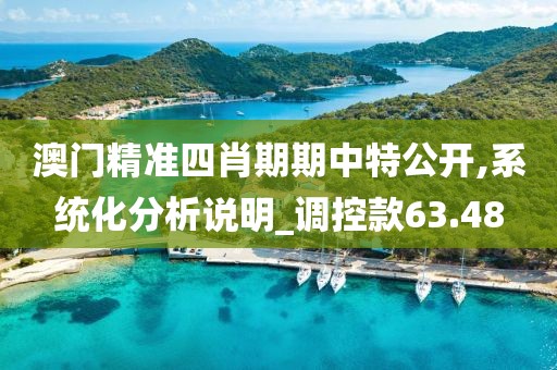澳门精准四肖期期中特公开,系统化分析说明_调控款63.48