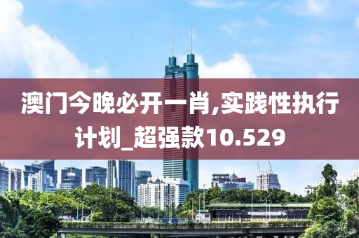 澳门今晚必开一肖,实践性执行计划_超强款10.529