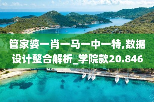 管家婆一肖一马一中一特,数据设计整合解析_学院款20.846