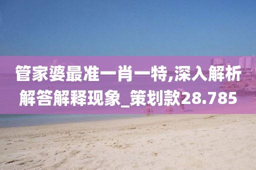 管家婆最准一肖一特,深入解析解答解释现象_策划款28.785