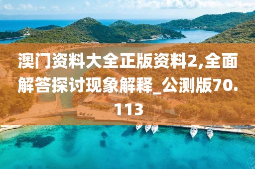 澳门资料大全正版资料2,全面解答探讨现象解释_公测版70.113