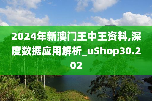 2024年新澳门王中王资料,深度数据应用解析_uShop30.202