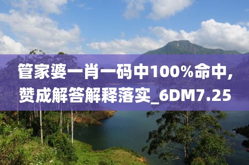 管家婆一肖一码中100%命中,赞成解答解释落实_6DM7.25