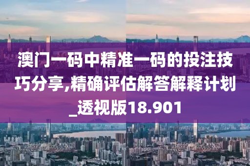 澳门一码中精准一码的投注技巧分享,精确评估解答解释计划_透视版18.901
