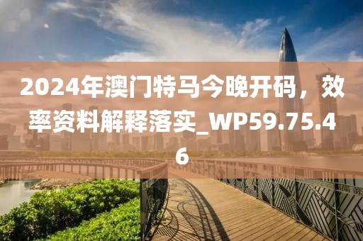 2024年澳门特马今晚开码，效率资料解释落实_WP59.75.46