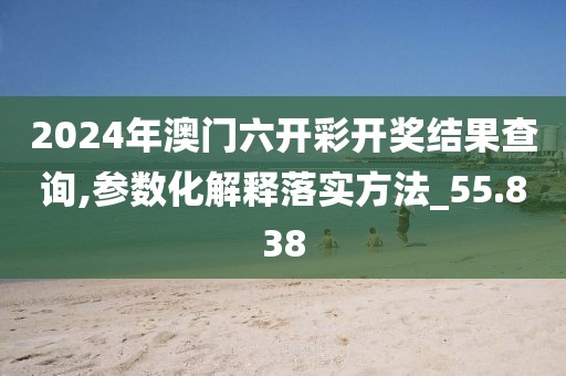 2024年澳门六开彩开奖结果查询,参数化解释落实方法_55.838