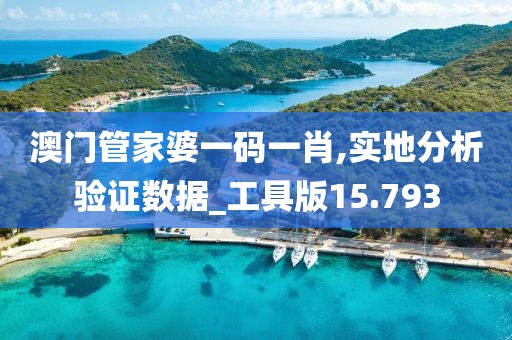 澳门管家婆一码一肖,实地分析验证数据_工具版15.793