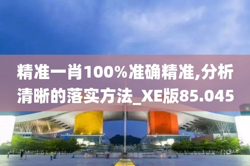 精准一肖100%准确精准,分析清晰的落实方法_XE版85.045
