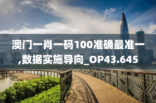 澳门一肖一码100准确最准一,数据实施导向_OP43.645