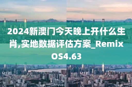 2024新澳门今天晚上开什么生肖,实地数据评估方案_RemixOS4.63