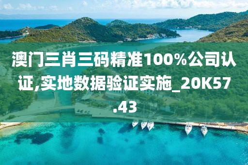 澳门三肖三码精准100%公司认证,实地数据验证实施_20K57.43